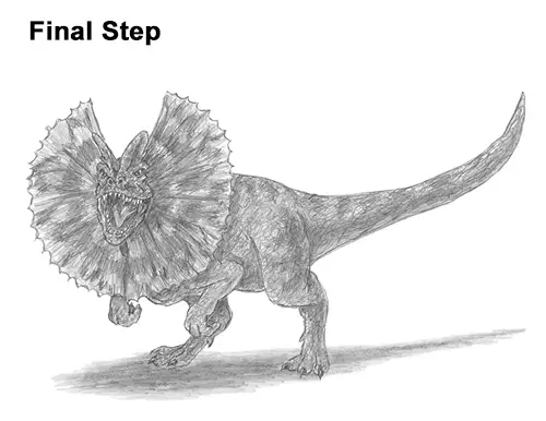 Draw Dinosaur Dilophosaurus