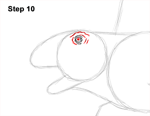 How to Draw a Dimetrodon Dinosaur Sail Spine 10