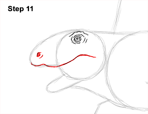 How to Draw a Dimetrodon Dinosaur Sail Spine 11