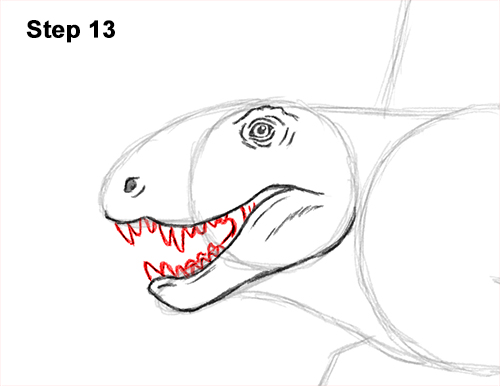 How to Draw a Dimetrodon Dinosaur Sail Spine 13