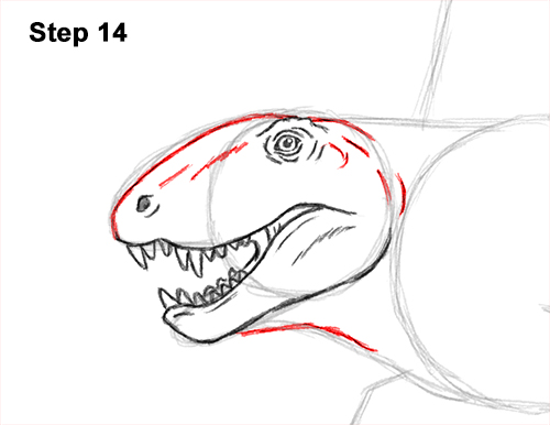 How to Draw a Dimetrodon Dinosaur Sail Spine 14