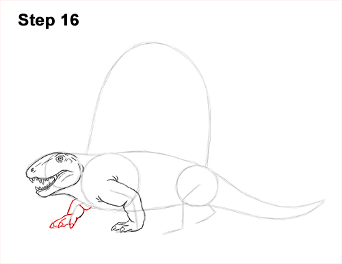How to Draw a Dimetrodon Dinosaur Sail Spine 16