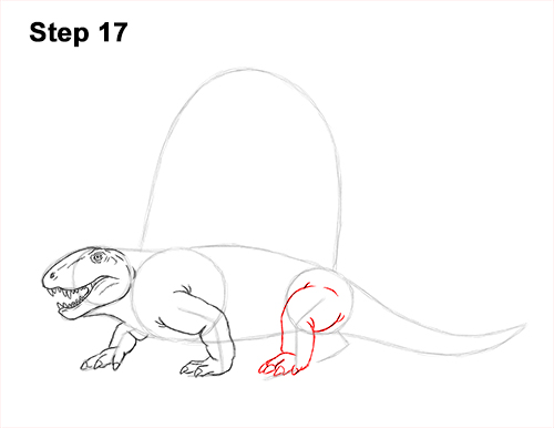 How to Draw a Dimetrodon Dinosaur Sail Spine 17