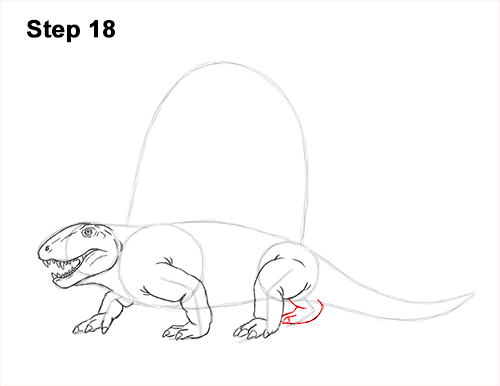 How to Draw a Dimetrodon Dinosaur Sail Spine 18