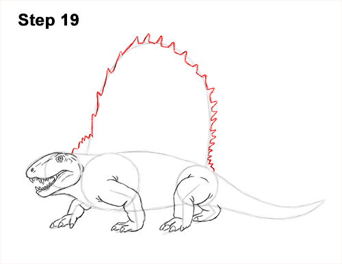 How to Draw a Dimetrodon Dinosaur Sail Spine 19
