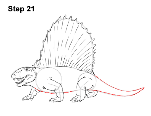 How to Draw a Dimetrodon Dinosaur Sail Spine 21