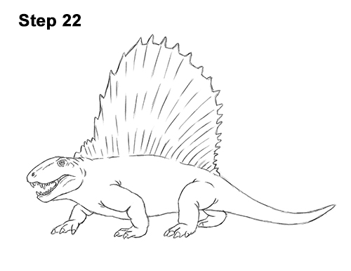 How to Draw a Dimetrodon Dinosaur Sail Spine 22