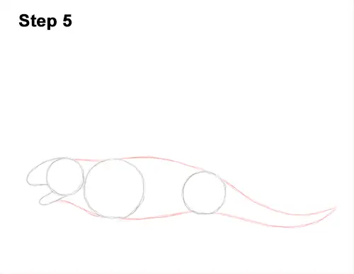 How to Draw a Dimetrodon Dinosaur Sail Spine 5