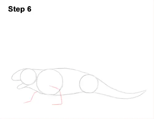How to Draw a Dimetrodon Dinosaur Sail Spine 6