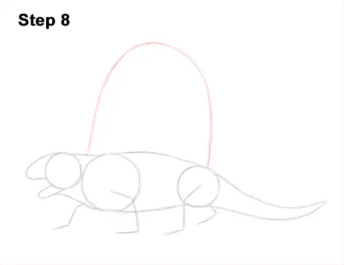 How to Draw a Dimetrodon Dinosaur Sail Spine 8