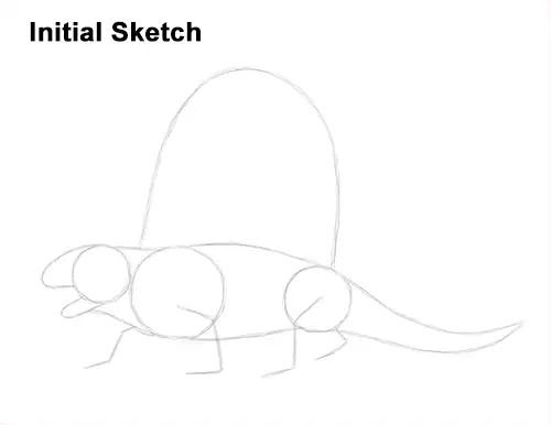 How to Draw a Dimetrodon Dinosaur Sail Spine Guide Lines