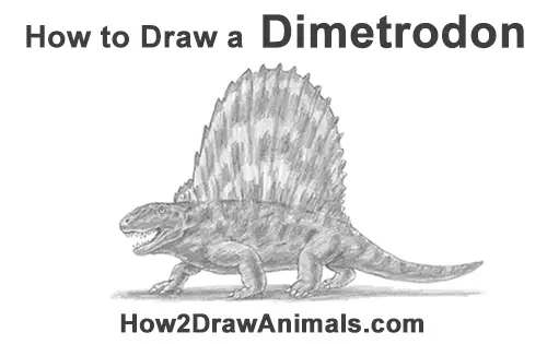 How to Draw a Dimetrodon Dinosaur Sail Spine