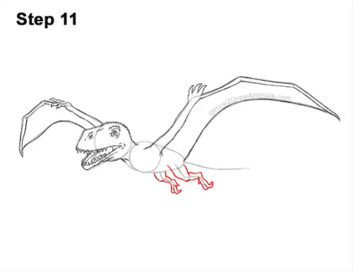 How to Draw a Dimorphodon Flying Dinosaur Pterosaur 11