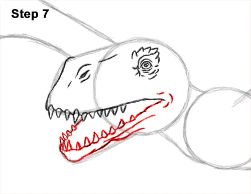 How to Draw a Dimorphodon Flying Dinosaur Pterosaur 7