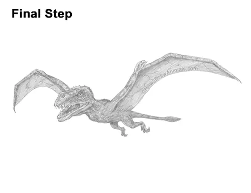How to Draw a Dimorphodon Flying Dinosaur Pterosaur