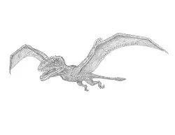 How to Draw a Dimorphodon Dinosaur Flying