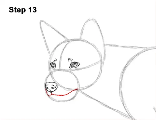 How to Draw a Side Dingo Dog Walking Australia 13