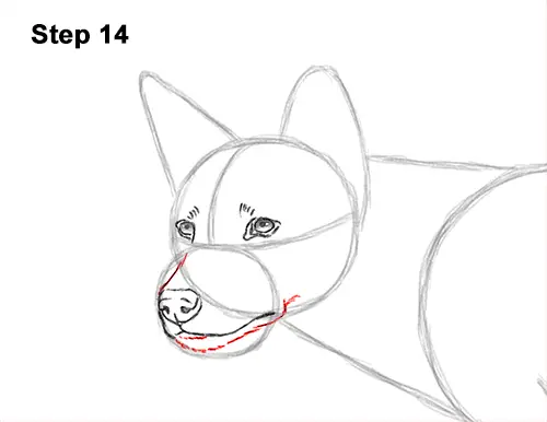 How to Draw a Side Dingo Dog Walking Australia 14