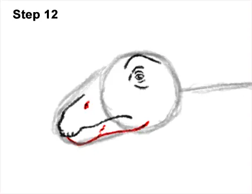 How to Draw Dinosaur Diplodocus Sauropod 12