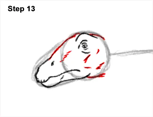 How to Draw Dinosaur Diplodocus Sauropod 13