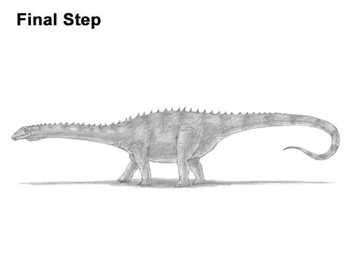 How to Draw Dinosaur Diplodocus Sauropod