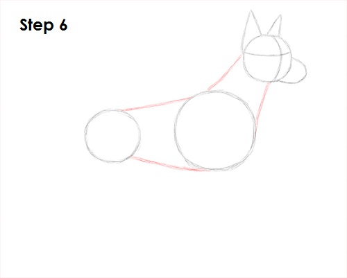 How to Draw a Doberman Pinscher