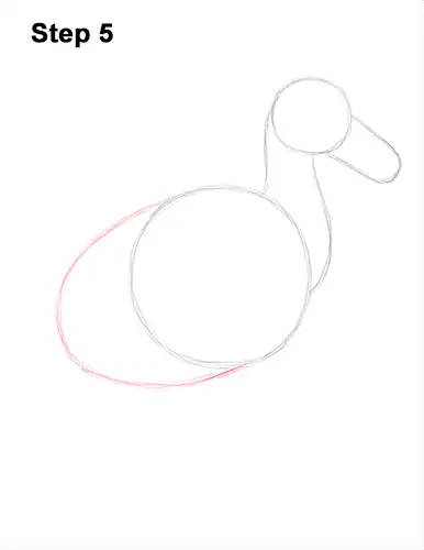 Draw Dodo Bird 5