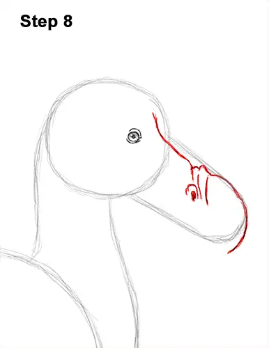 Draw Dodo Bird 8