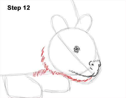 How to Draw a Doedicurus Glyptodon 12
