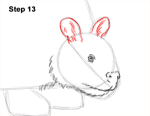 How to Draw a Doedicurus Glyptodon 13