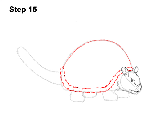 How to Draw a Doedicurus Glyptodon 15