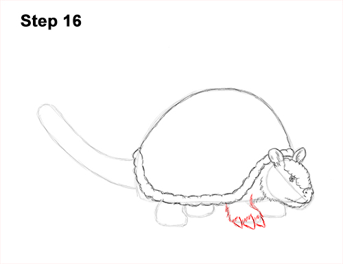 How to Draw a Doedicurus Glyptodon 16