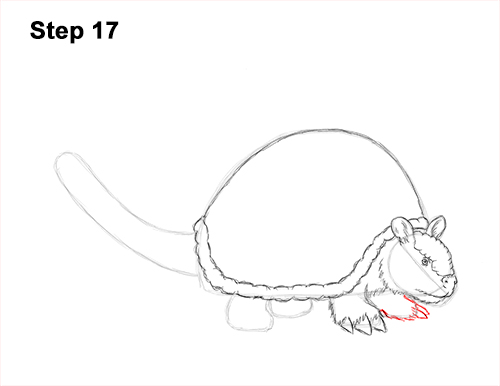 How to Draw a Doedicurus Glyptodon 17