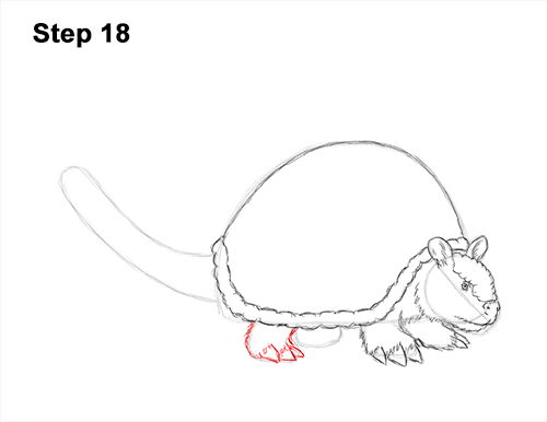 How to Draw a Doedicurus Glyptodon 18