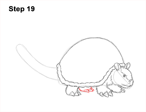 How to Draw a Doedicurus Glyptodon 19