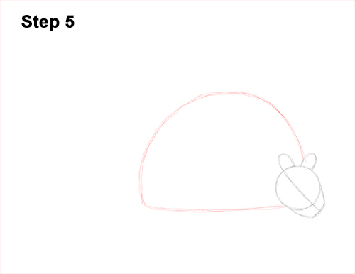 How to Draw a Doedicurus Glyptodon 5