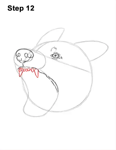 How to Draw Angry German Shepherd Dog Barking Head Detail 12