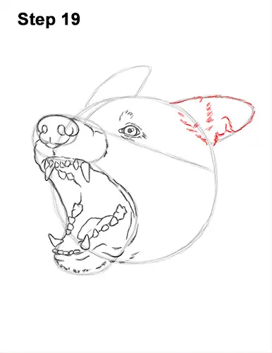 How to Draw Angry German Shepherd Dog Barking Head Detail 19