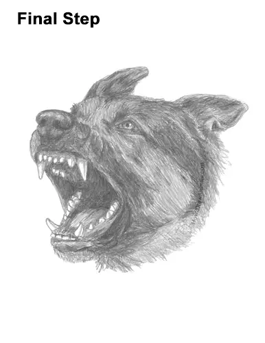 How to Draw Angry German Shepherd Dog Barking Head Detail