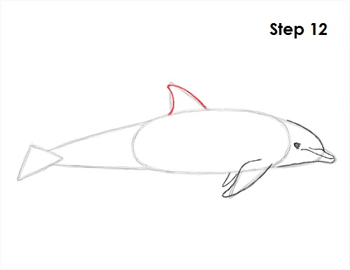 Draw Dolphin 12
