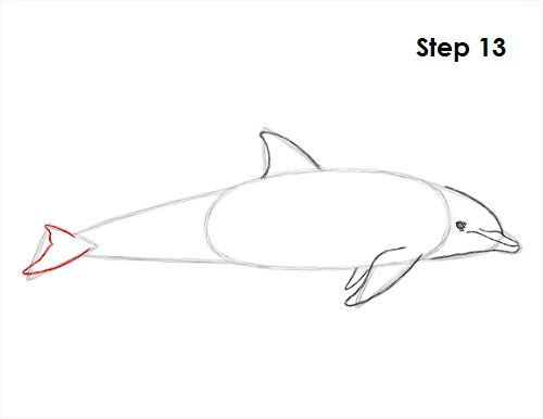 Draw Dolphin 13