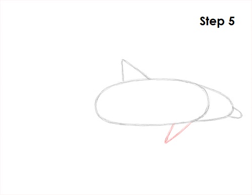 Draw Dolphin 5