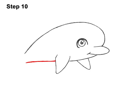 How to Draw Cute Cartoon Dolphin 10