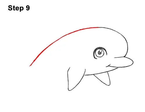 How to Draw Cute Cartoon Dolphin 9