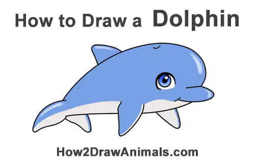 One single line drawing of cute dolphin a big Vector Image