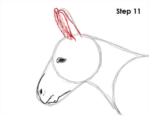 Draw Donkey 11