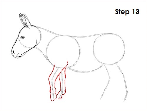 Draw Donkey 13
