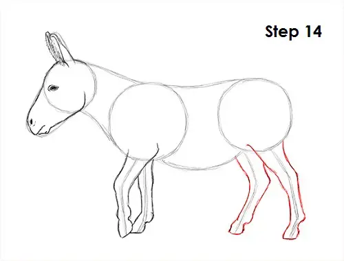 Draw Donkey 14
