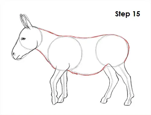 Draw Donkey 15