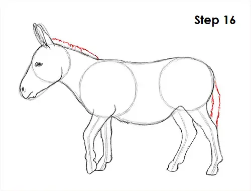 Draw Donkey 16
